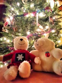 20121217_220746_LLS_0