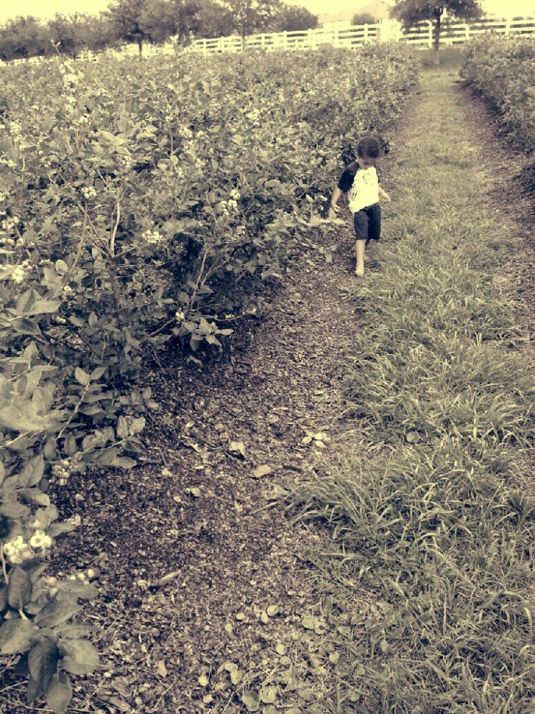 PicsPlay_1368128999947