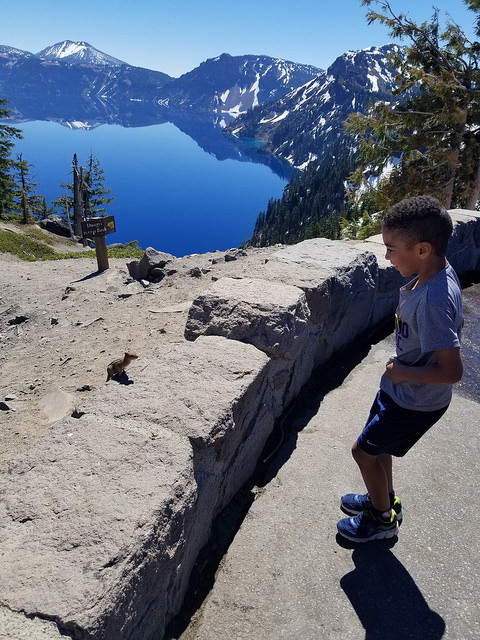 34695988204_eae99d12e7_z