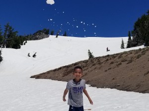 34728146903_c17dec4baf_z