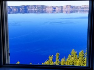 35131918700_a1404e753c_z