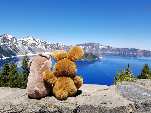 35351058952_7fca7ddeb9_z