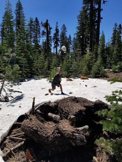 35401437031_e7d3f49ee6_z