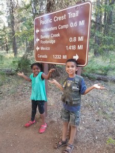 35536538455_c8e675f5eb_z